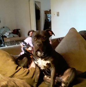 Meet your Posher, Mary